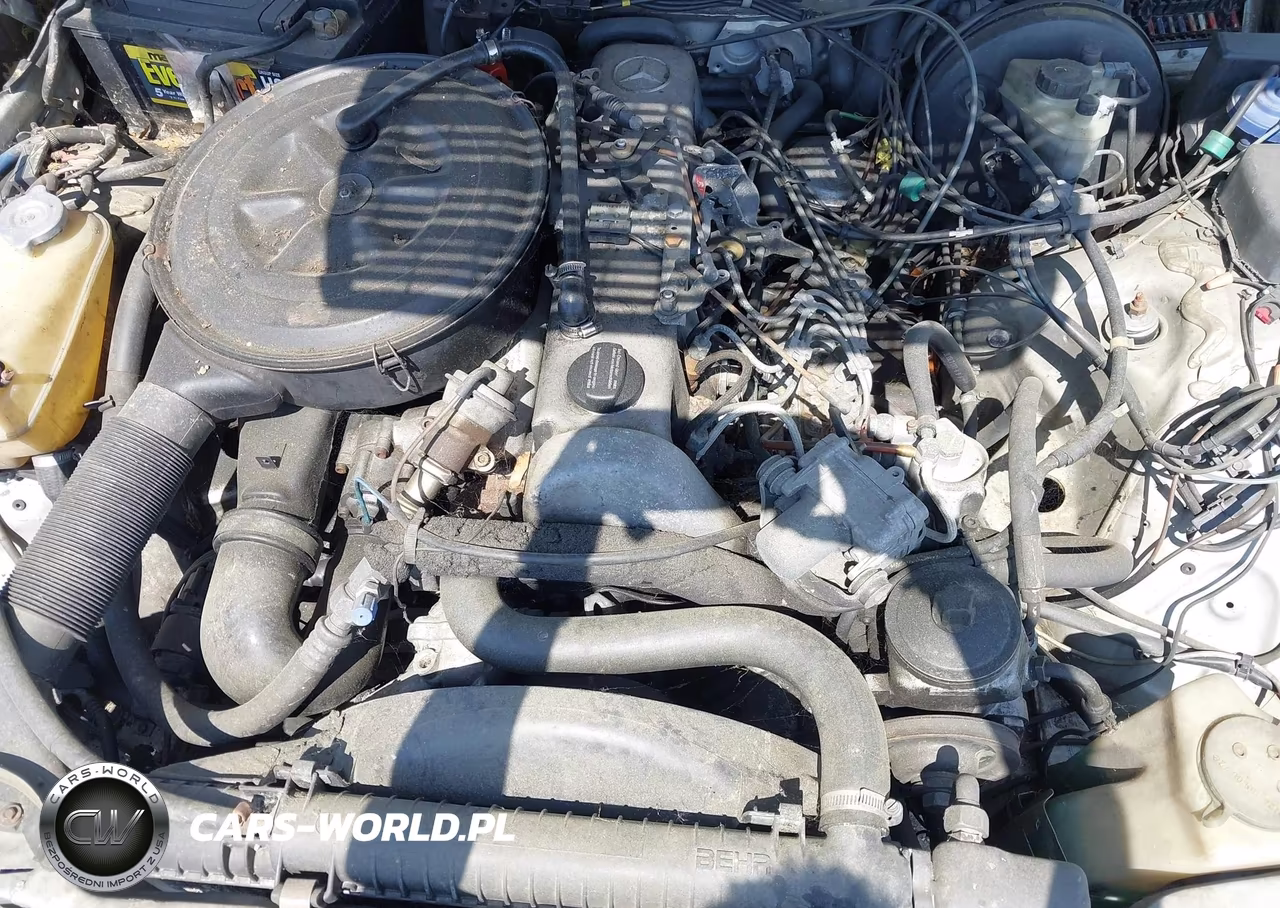 1985 Mercedes-Benz 300 Dt VIN:WDBAB33C9FA271341 - 10