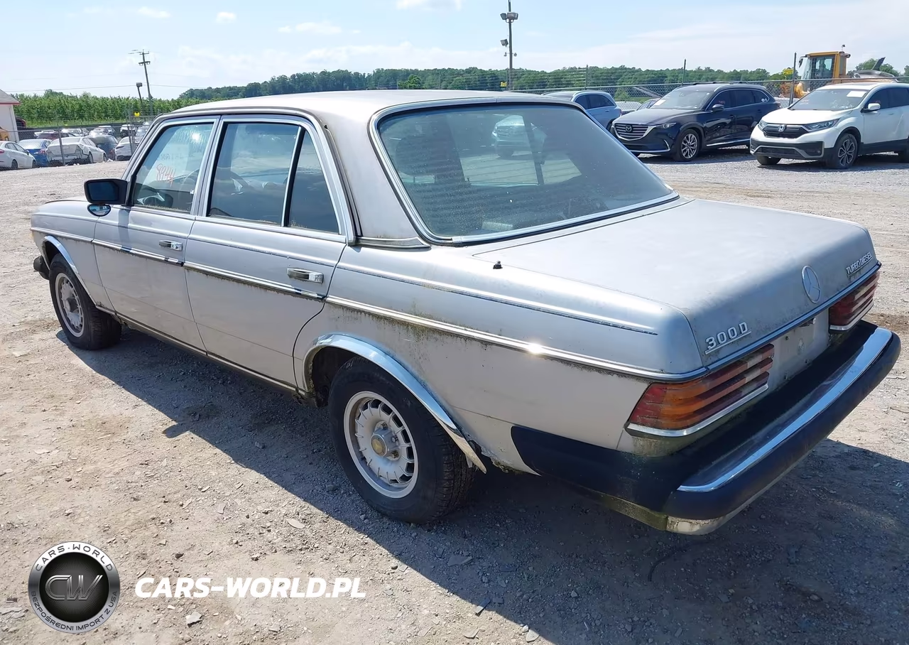 1985 Mercedes-Benz 300 Dt VIN:WDBAB33C9FA271341 - 3
