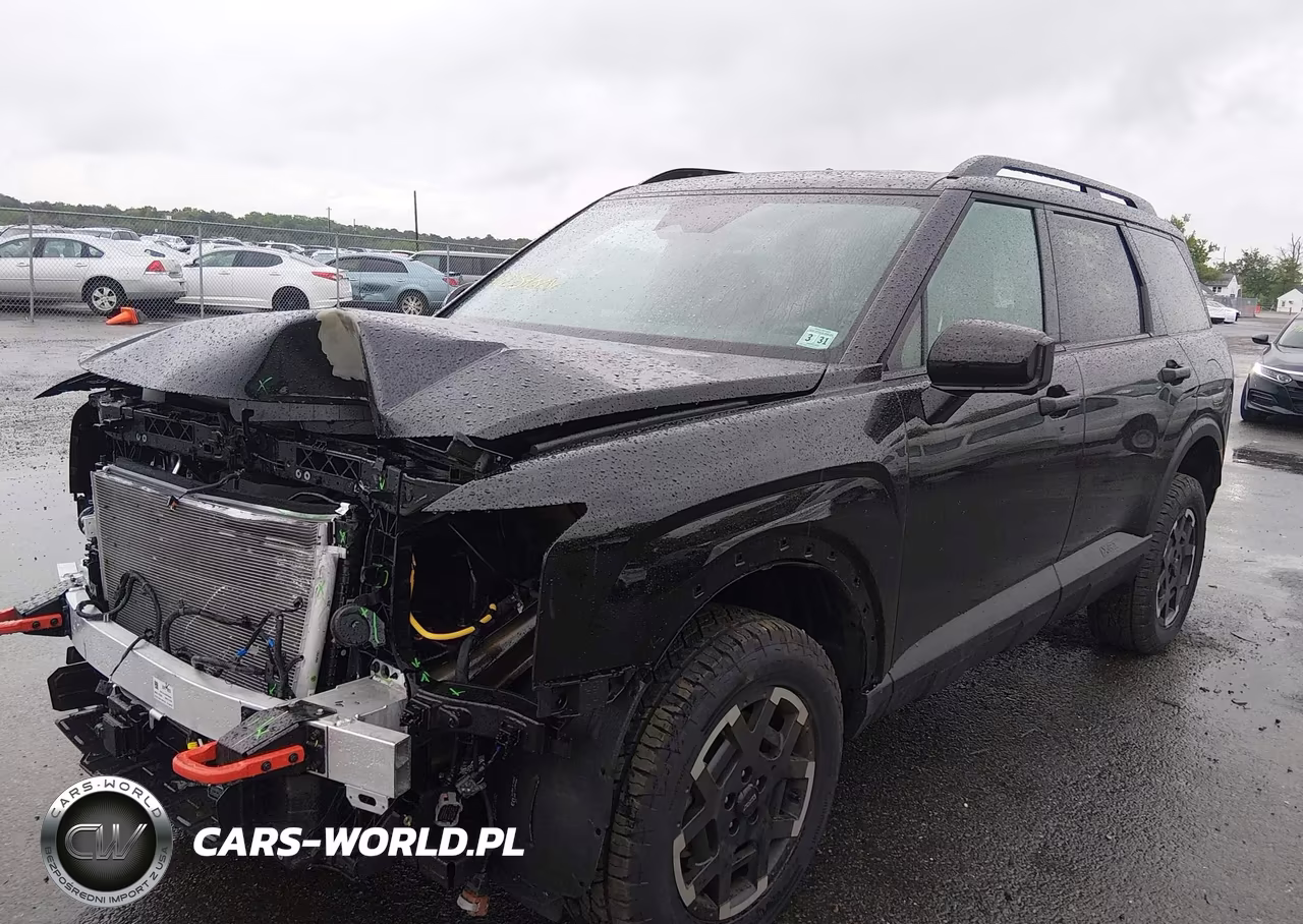 2026 Hyundai Palisade Xrt Pro VIN:KM8RJES28TU031733 - 2