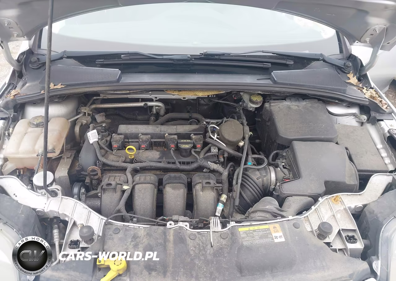 2014 Ford Focus Titanium VIN:1FADP3N22EL263272 - 10