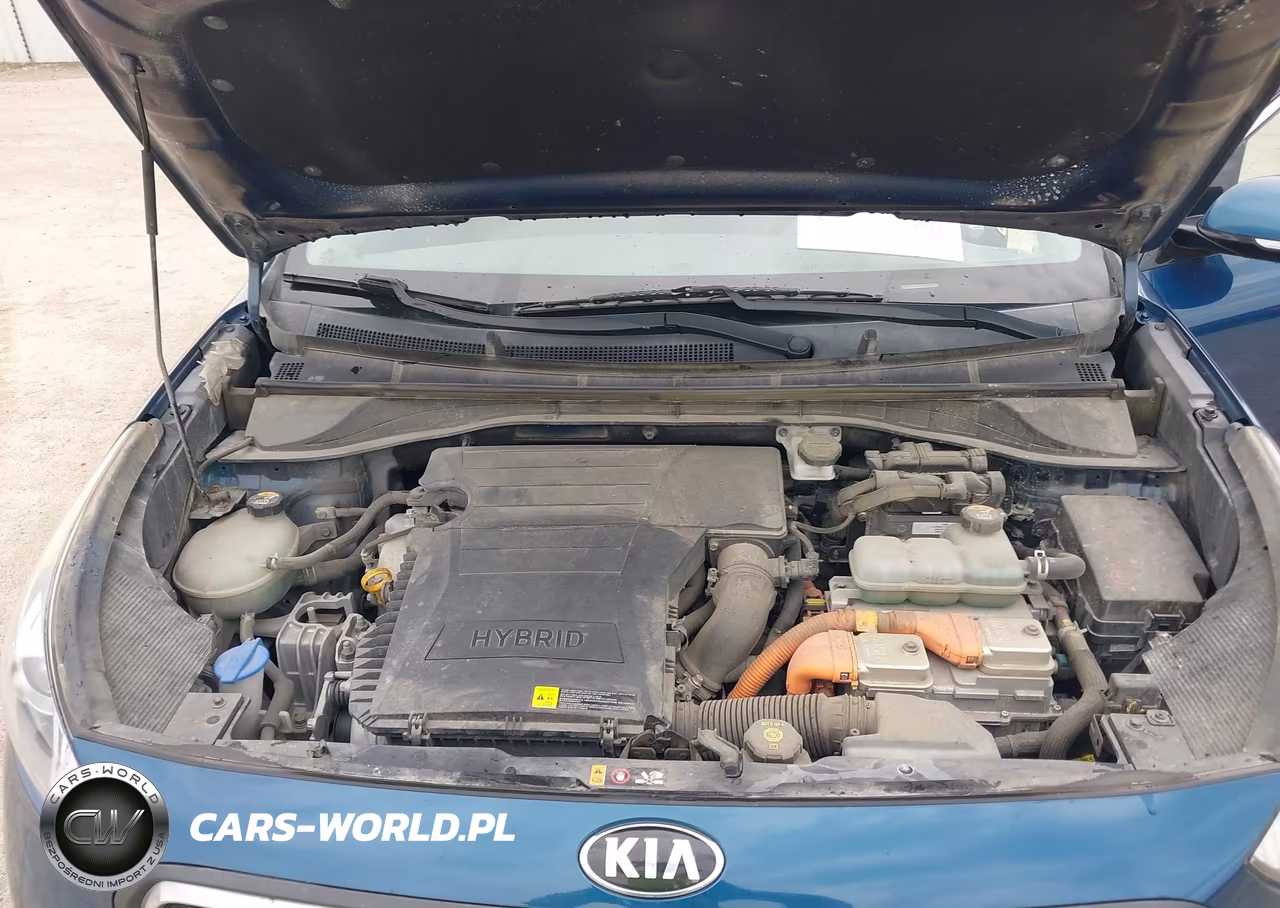 2019 Kia Niro Ex VIN:KNDCC3LC0K5339052 - 10