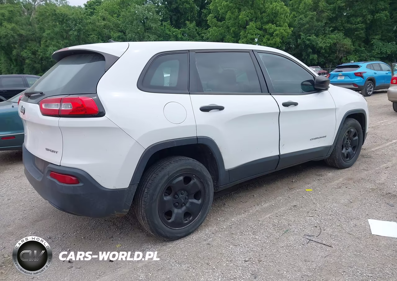 2014 Jeep Cherokee Sport VIN:1C4PJLAB0EW104554 - 4