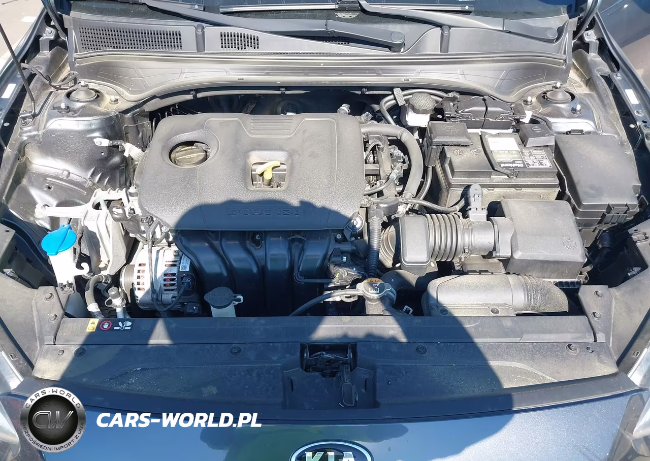2020 Kia Forte Fe VIN:3KPF24AD6LE185129 - 10