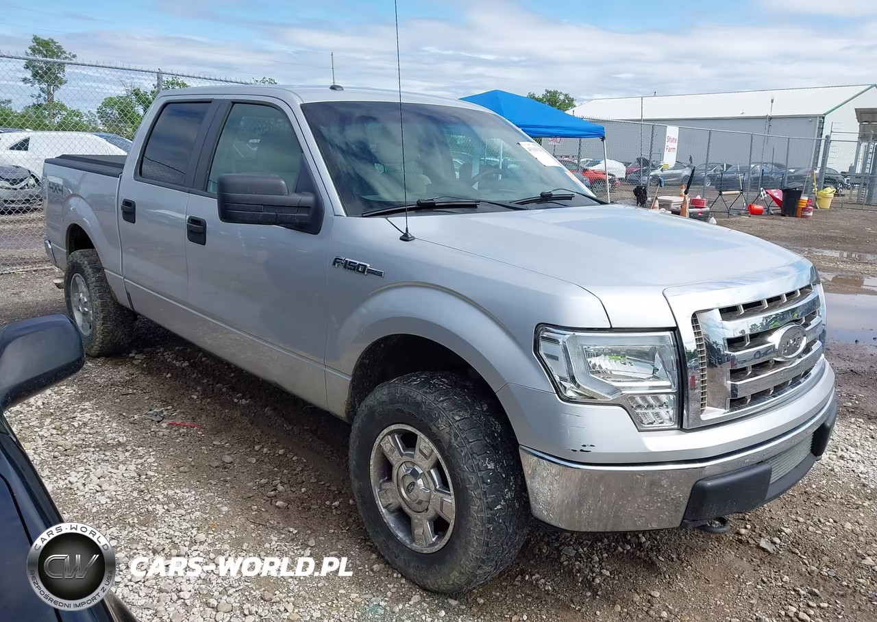 2010 Ford F-150 Xl-Xlt – zdjęcie 1 z 16