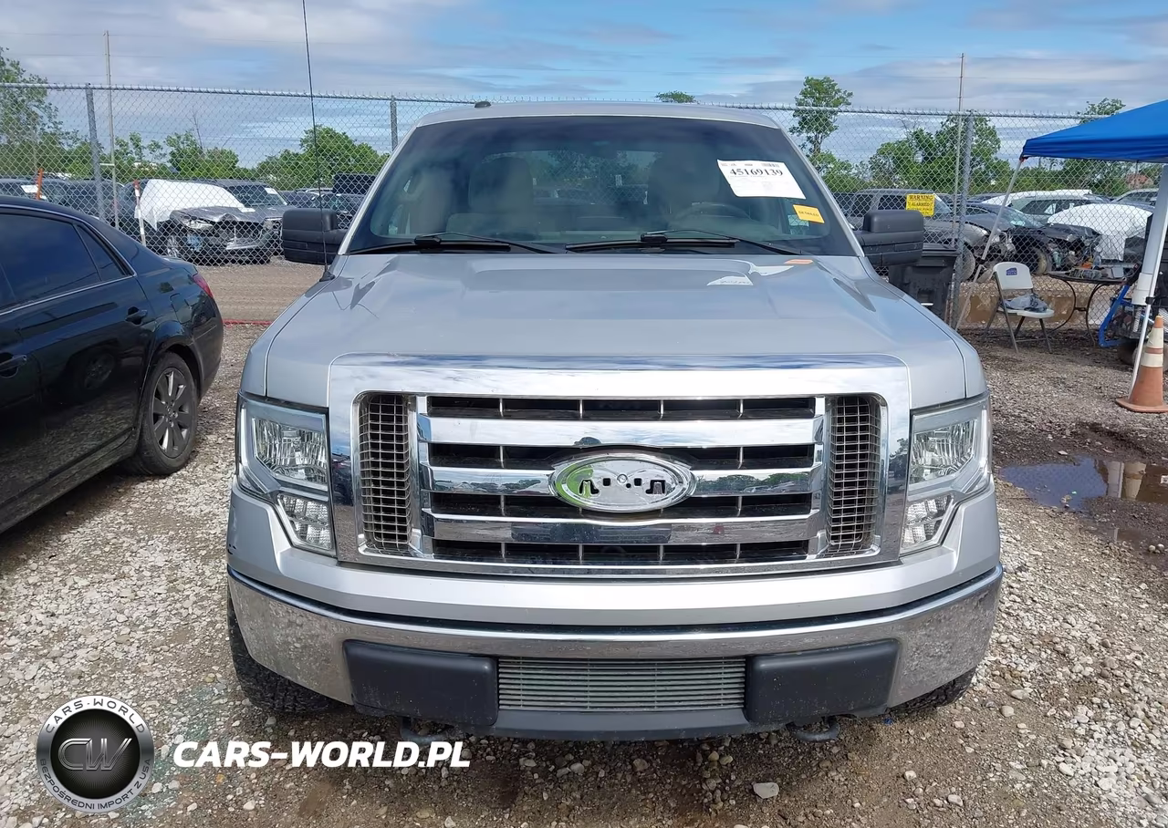 2010 Ford F-150 Xl-Xlt VIN:1FTEW1E81AFC48278 - 12