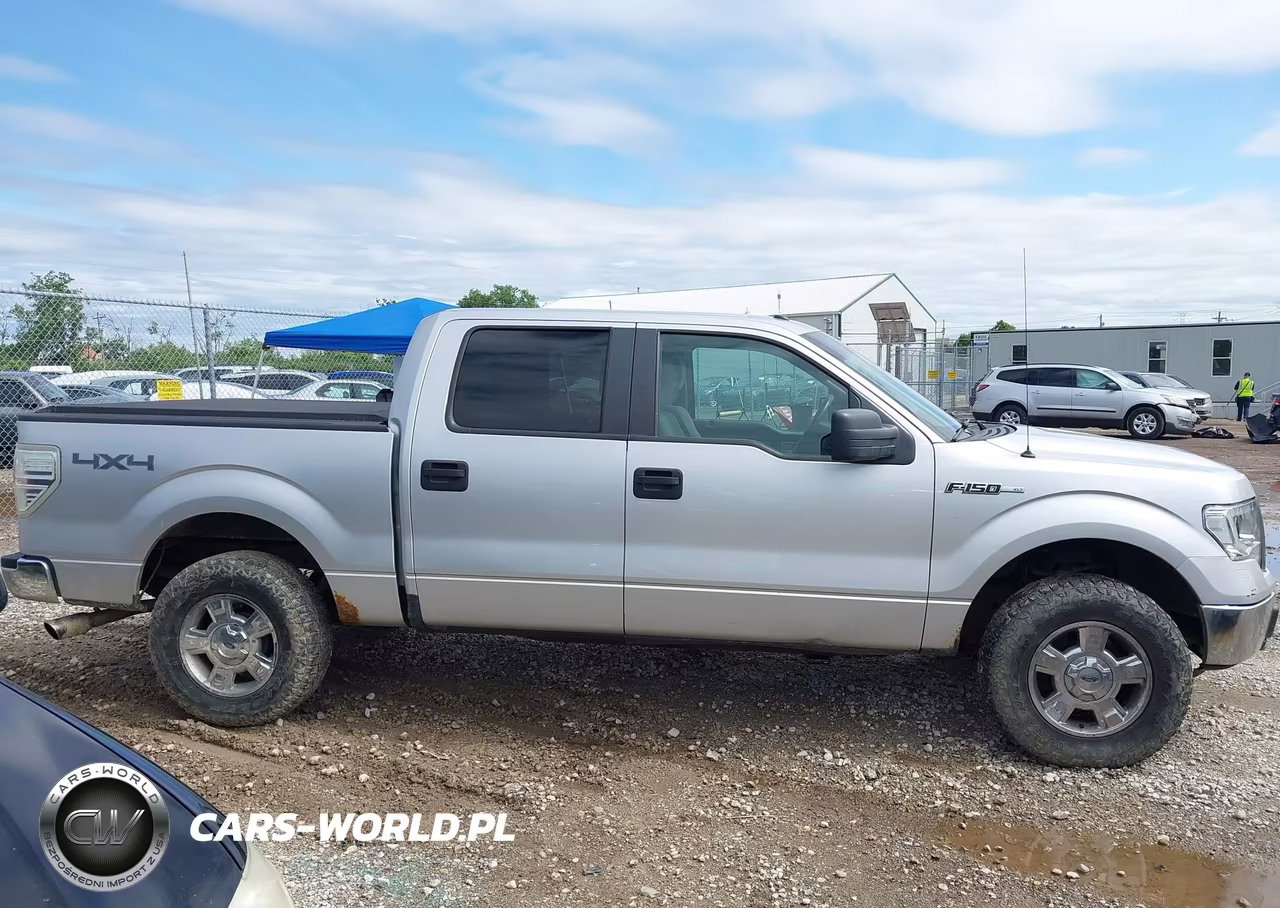 2010 Ford F-150 Xl-Xlt VIN:1FTEW1E81AFC48278 - 13