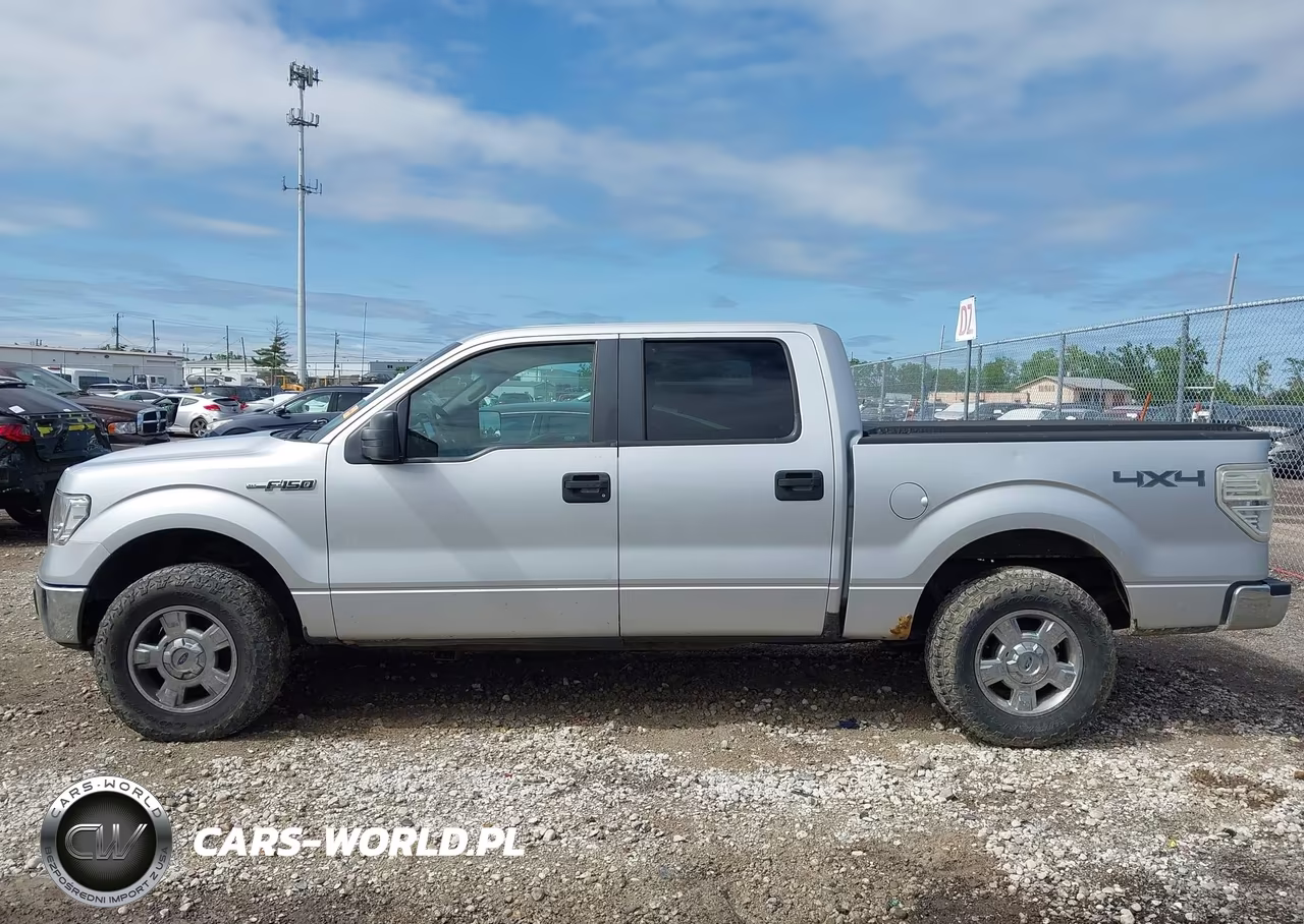 2010 Ford F-150 Xl-Xlt VIN:1FTEW1E81AFC48278 - 14