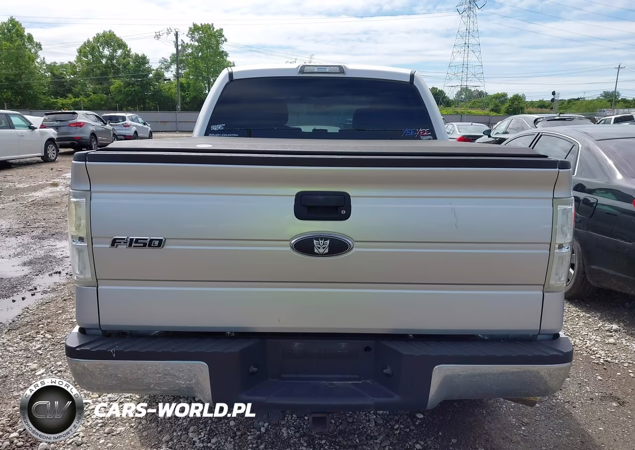 2010 Ford F-150 Xl-Xlt VIN:1FTEW1E81AFC48278 - 16
