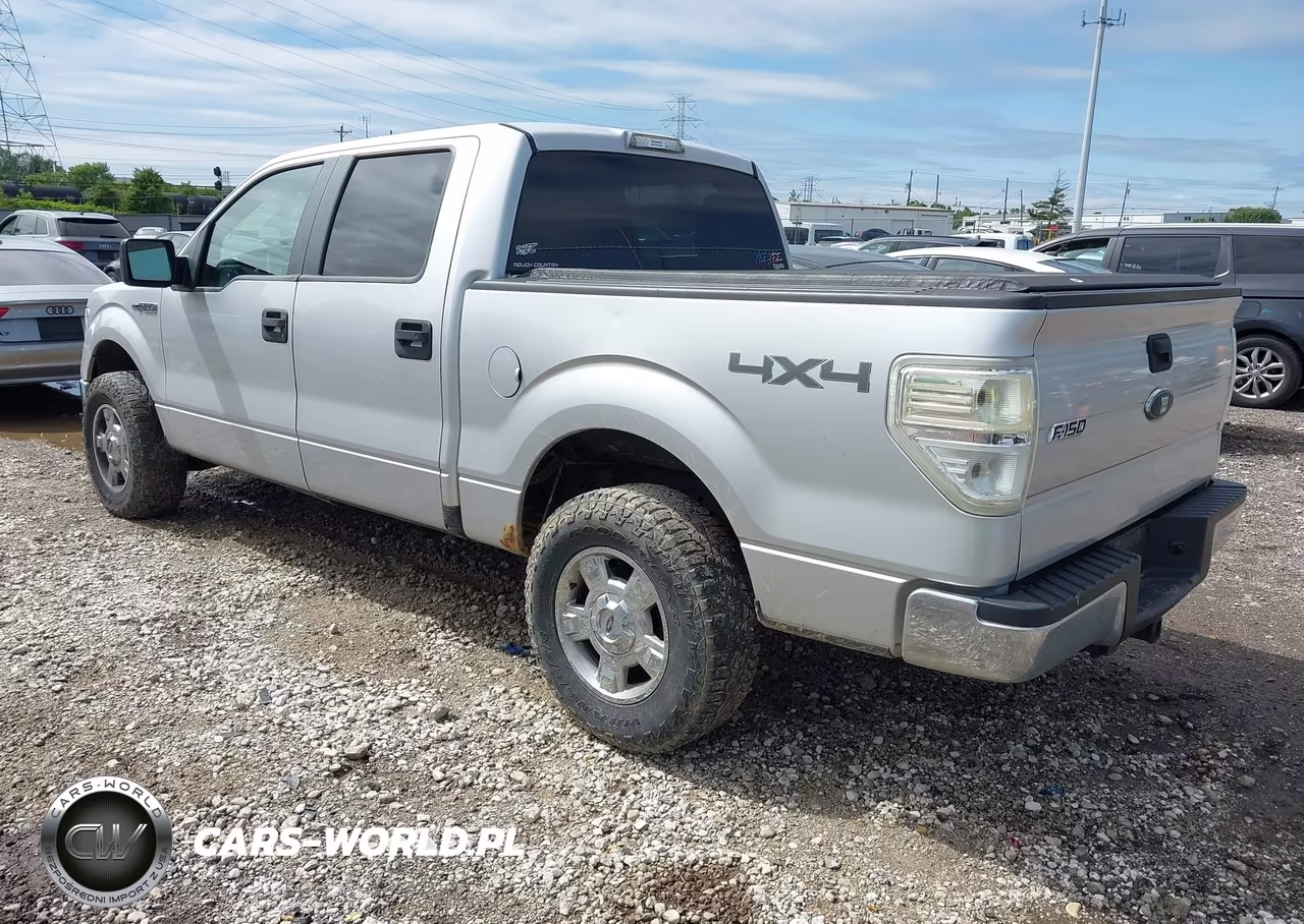 2010 Ford F-150 Xl-Xlt VIN:1FTEW1E81AFC48278 - 3