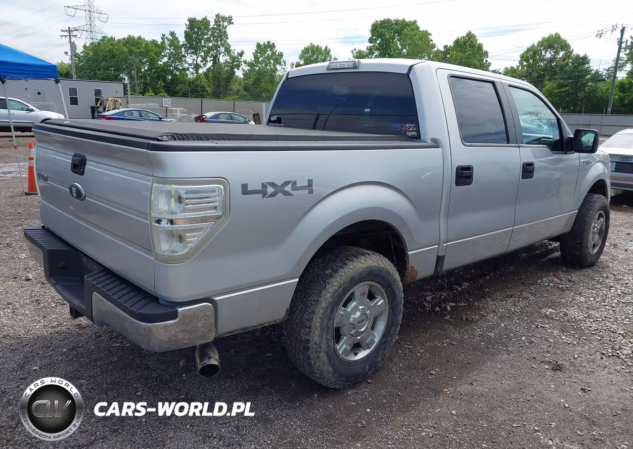 2010 Ford F-150 Xl-Xlt VIN:1FTEW1E81AFC48278 - 4