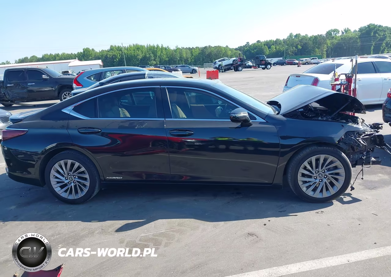 2020 Lexus Es 300H Ultra Luxury VIN:58AF21B1XLU008219 - 14