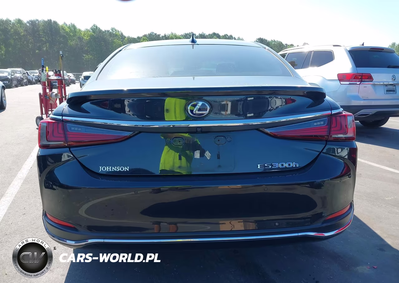 2020 Lexus Es 300H Ultra Luxury VIN:58AF21B1XLU008219 - 17