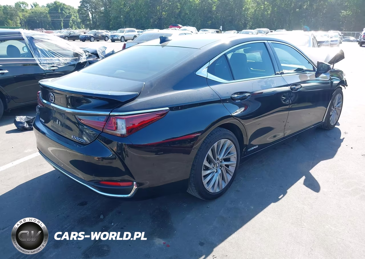 2020 Lexus Es 300H Ultra Luxury VIN:58AF21B1XLU008219 - 4