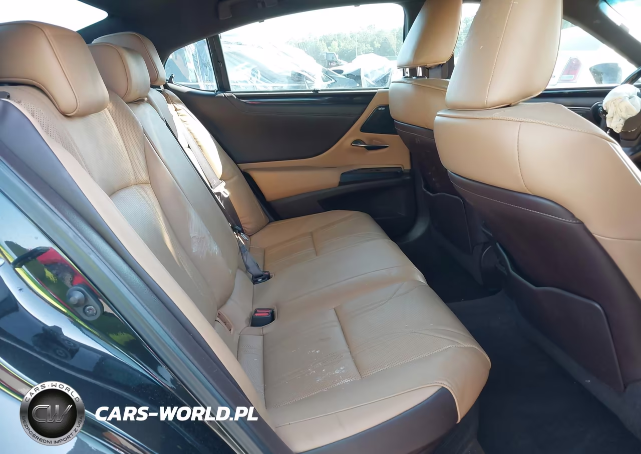 2020 Lexus Es 300H Ultra Luxury VIN:58AF21B1XLU008219 - 8
