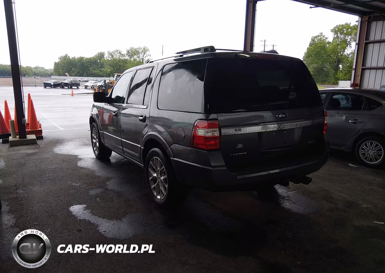 2016 Ford Expedition Limited VIN:1FMJU1KT7GEF35521 - 3