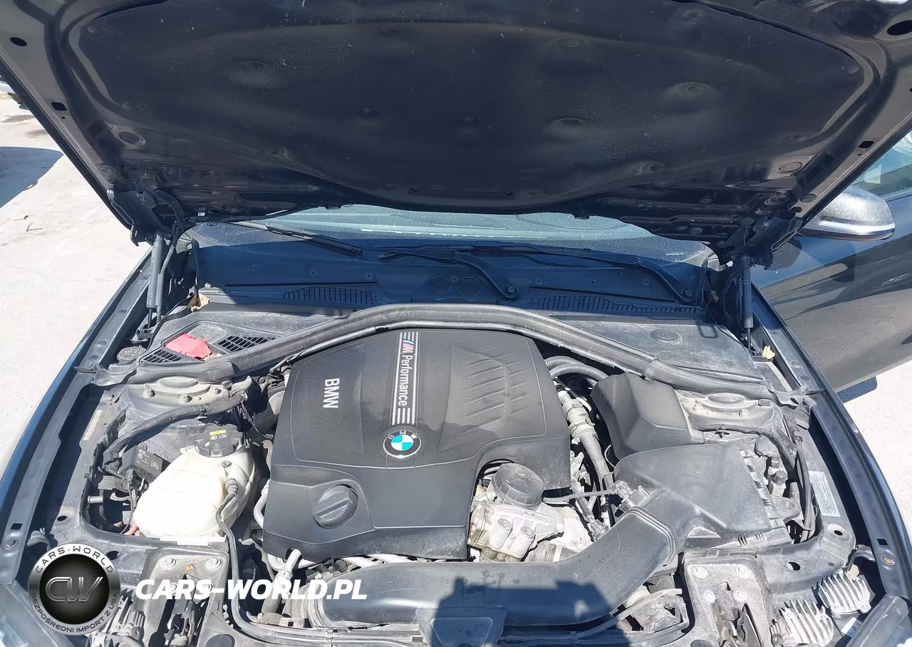 2016 BMW M235I xDrive VIN:WBA1J9C53GV371564 - 10