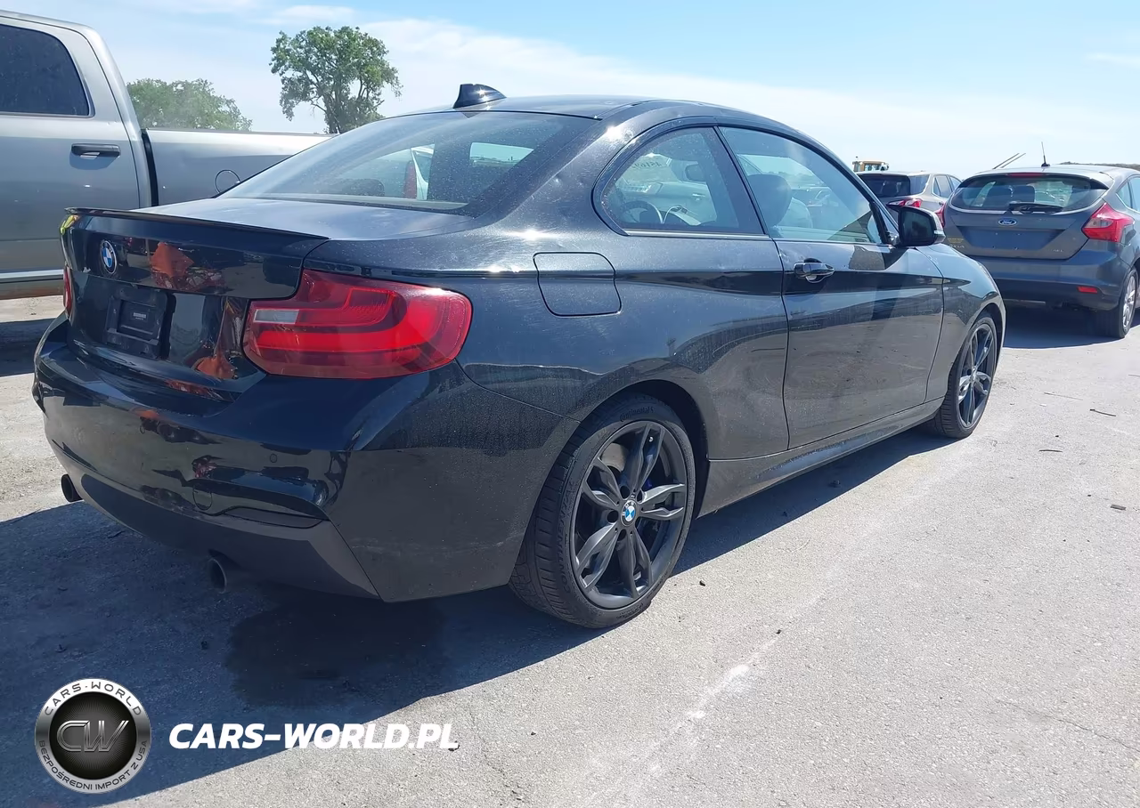 2016 BMW M235I xDrive VIN:WBA1J9C53GV371564 - 4