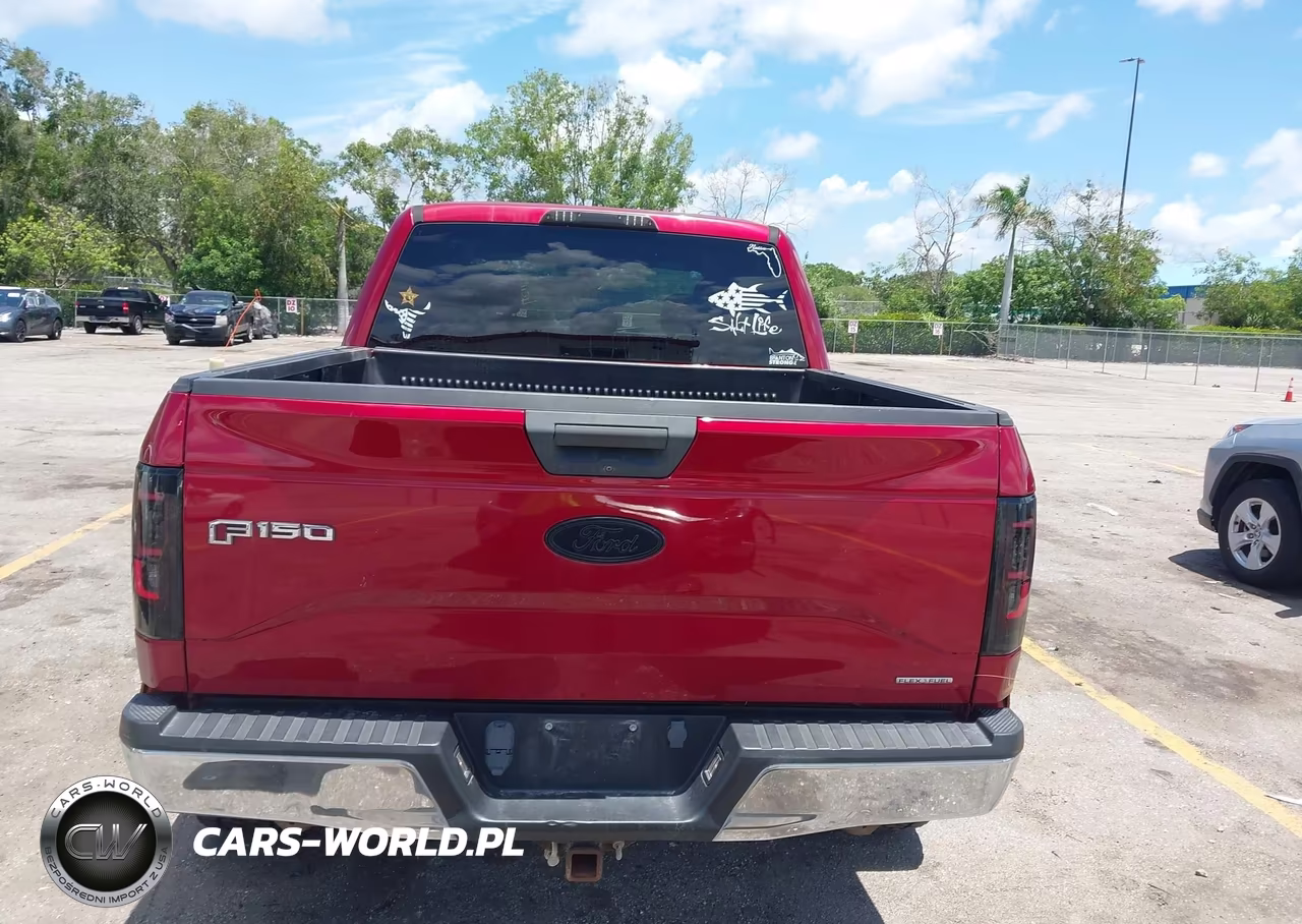 2015 Ford F-150 Xlt VIN:1FTEW1EF9FKF23425 - 16