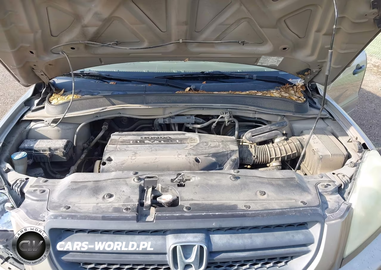 2003 Honda Pilot Ex VIN:2HKYF18493H558466 - 10