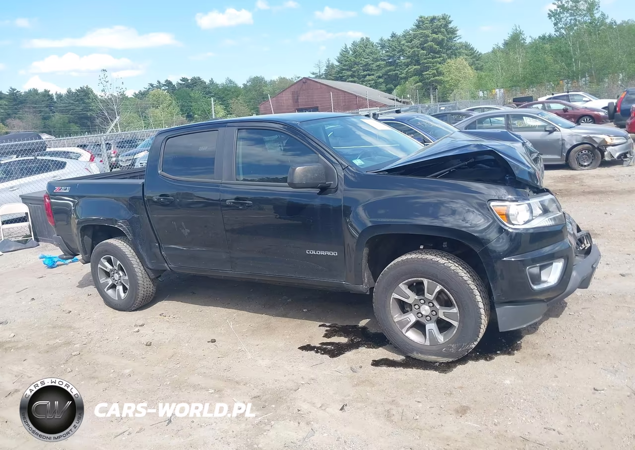 2015 Chevrolet Colorado Z71 VIN:1GCGTCE36F1243938 - 13