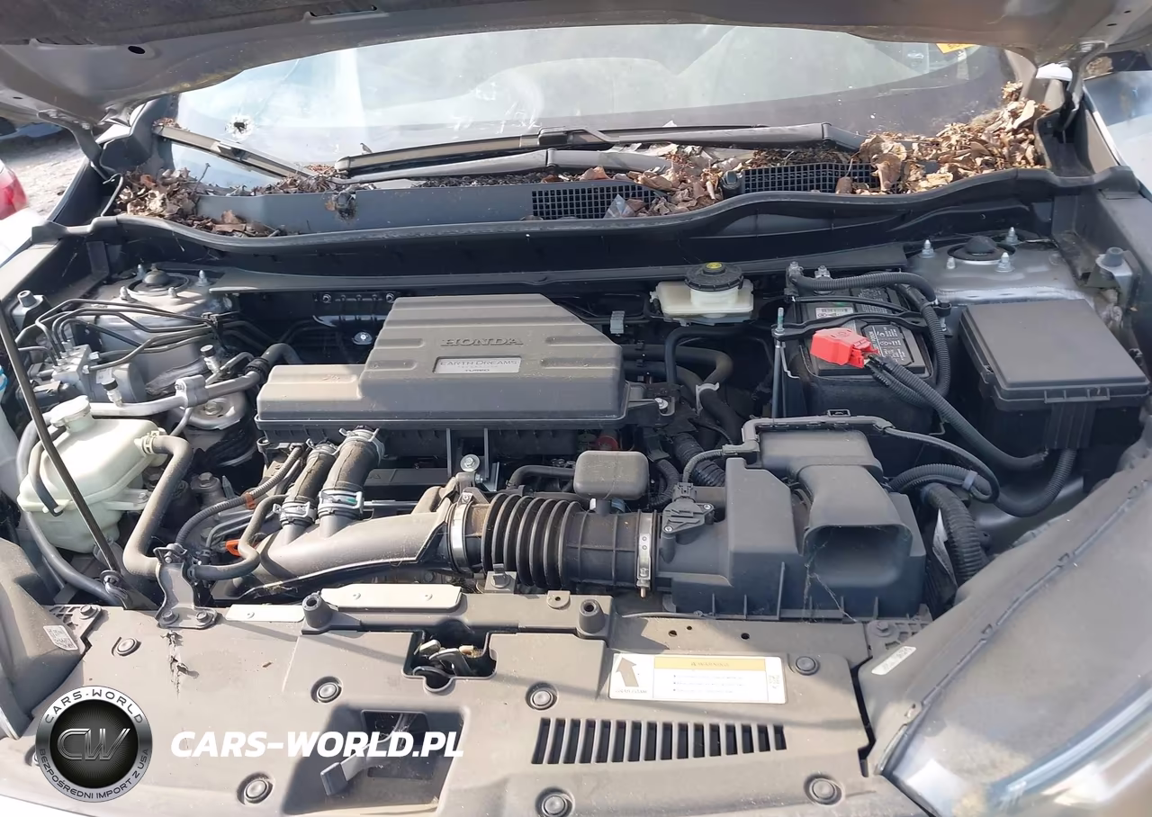 2019 Honda Cr-V Ex VIN:5J6RW2H58KA015743 - 10