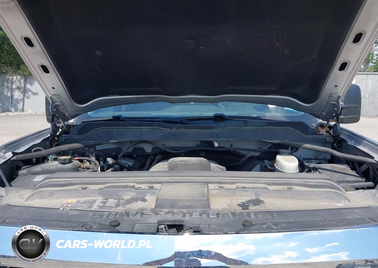 2019 Chevrolet Silverado 2500Hd Wt VIN:2GC2KREG4K1240141 - 10