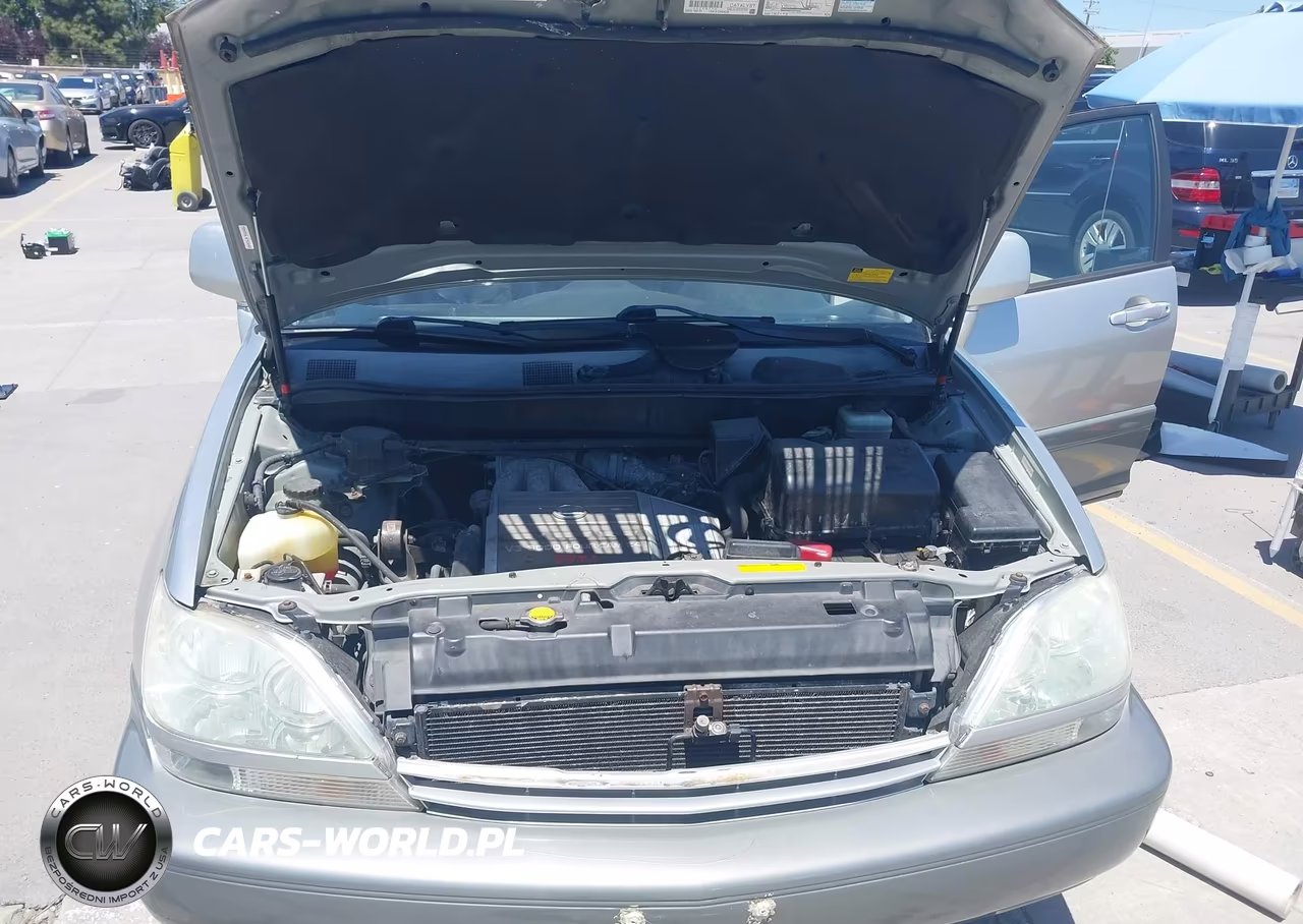 2002 Lexus Rx 300 VIN:JTJHF10U120243956 - 10