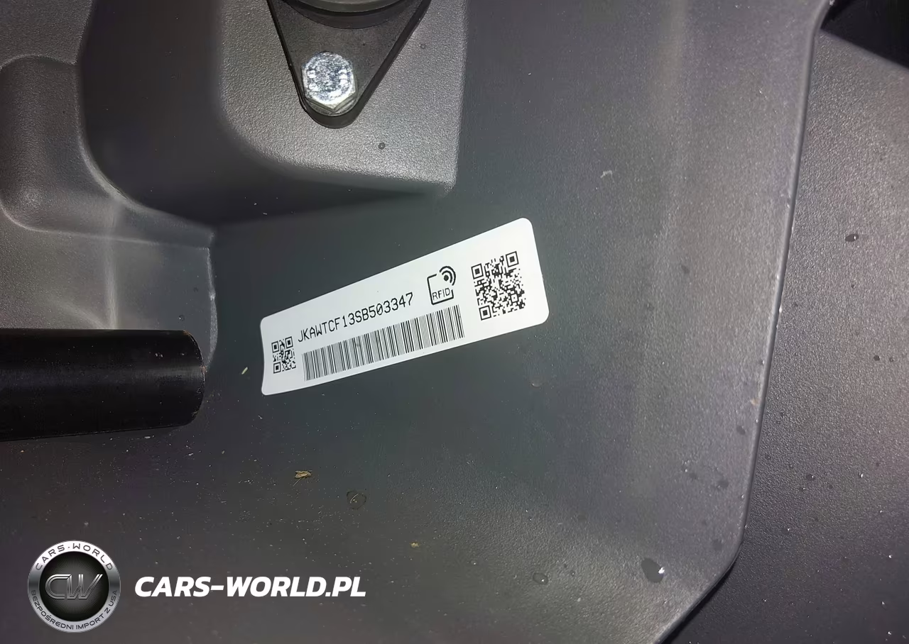 2025 Kawasaki Kwt1000 F VIN:JKAWTCF13SB503347 - 10