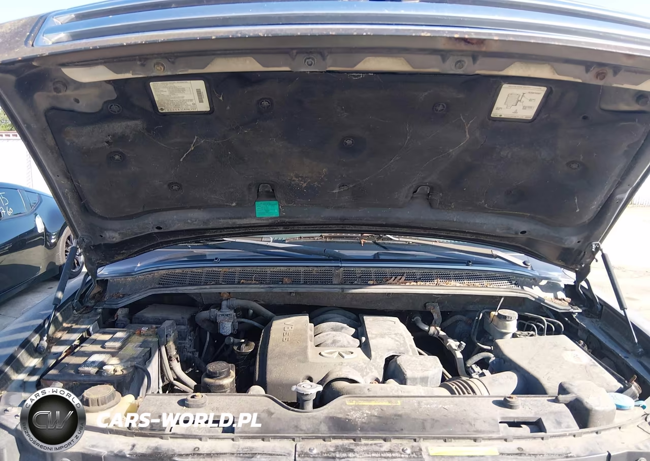 2005 Infiniti Qx56 VIN:5N3AA08C15N804143 - 10