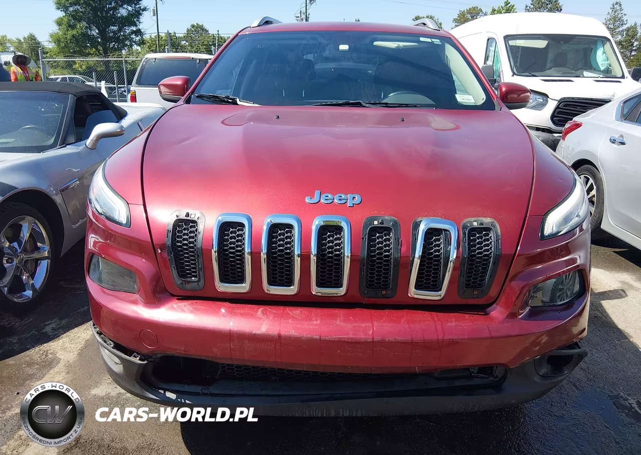 2014 Jeep Cherokee Latitude VIN:1C4PJMCS5EW317695 - 12