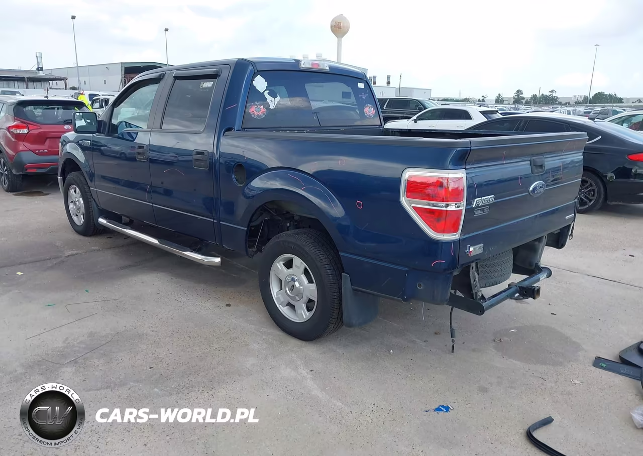 2013 Ford F-150 Xlt VIN:1FTEW1CM0DKG23802 - 3