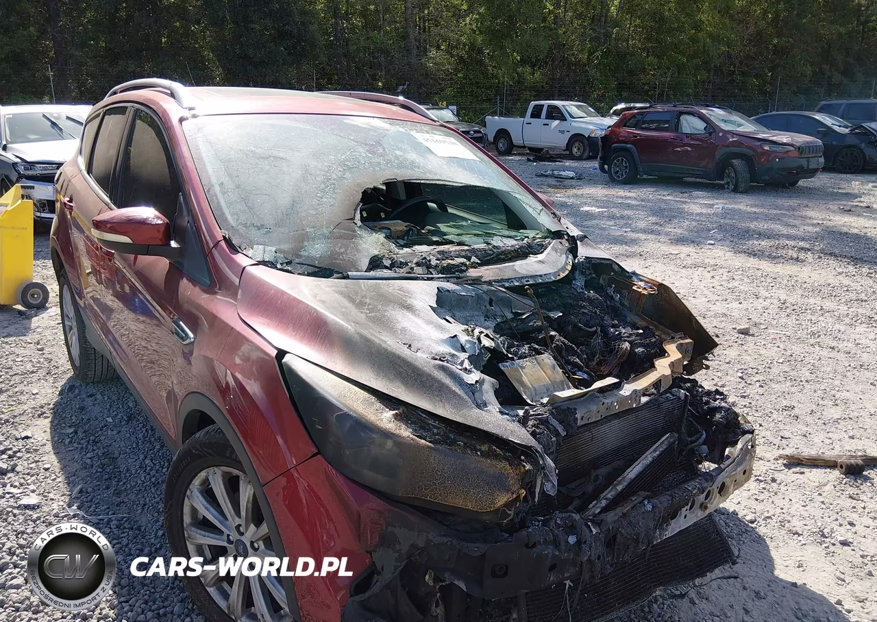 2017 Ford Escape Titanium VIN:1FMCU0JD2HUB58004 - 13