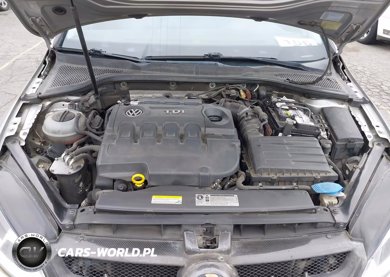 2015 Volkswagen Golf Tdi S 4-Door VIN:3VWRA7AU6FM090580 - 10