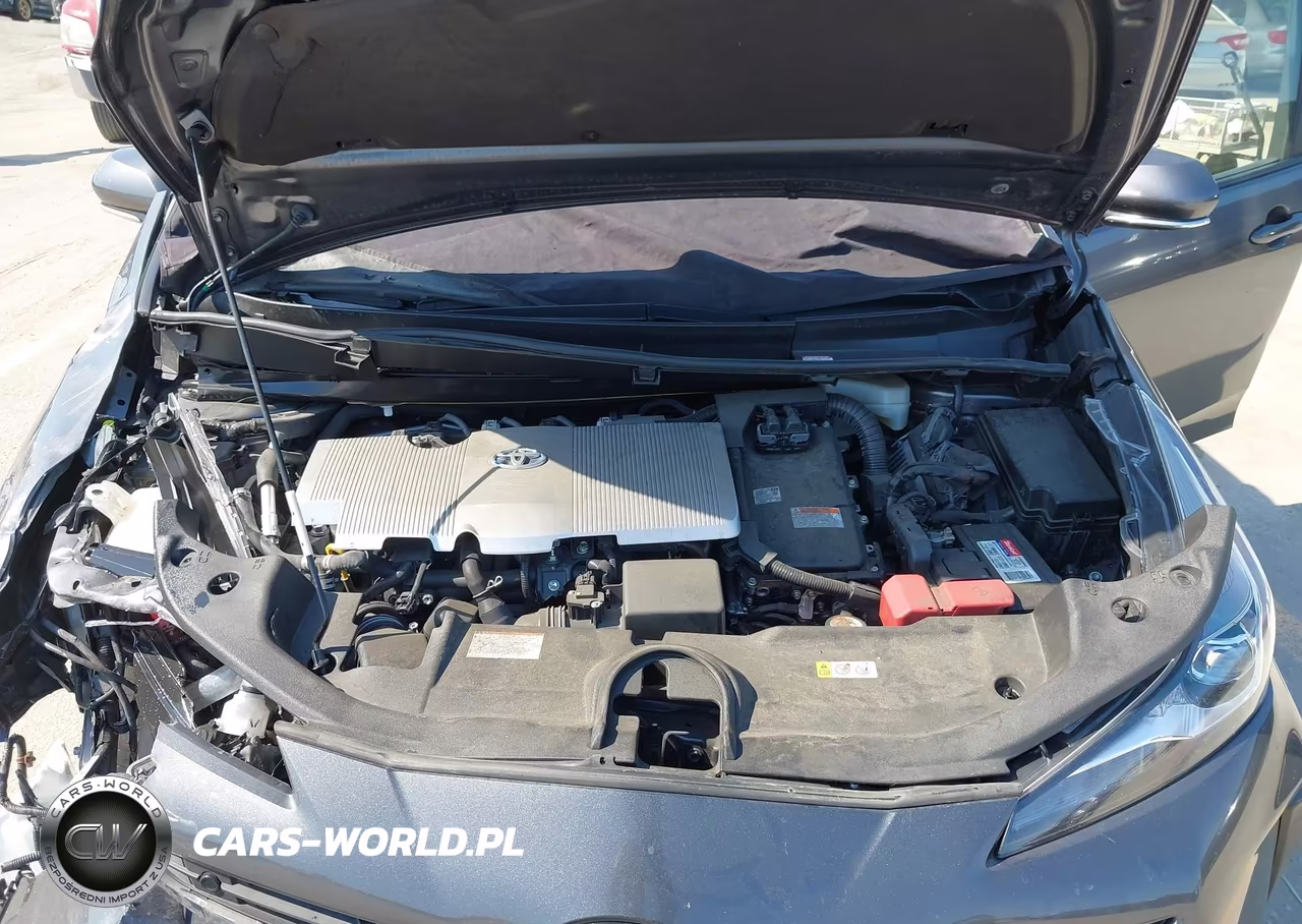 2019 Toyota Prius Le VIN:JTDKARFU9K3093641 - 10