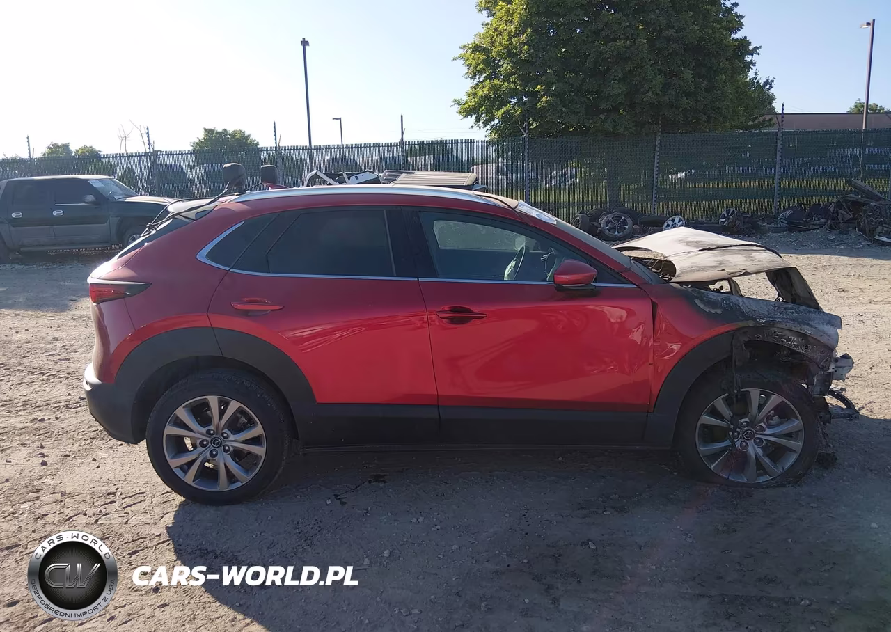 2021 Mazda Cx-30 Premium VIN:3MVDMBDL1MM308303 - 13