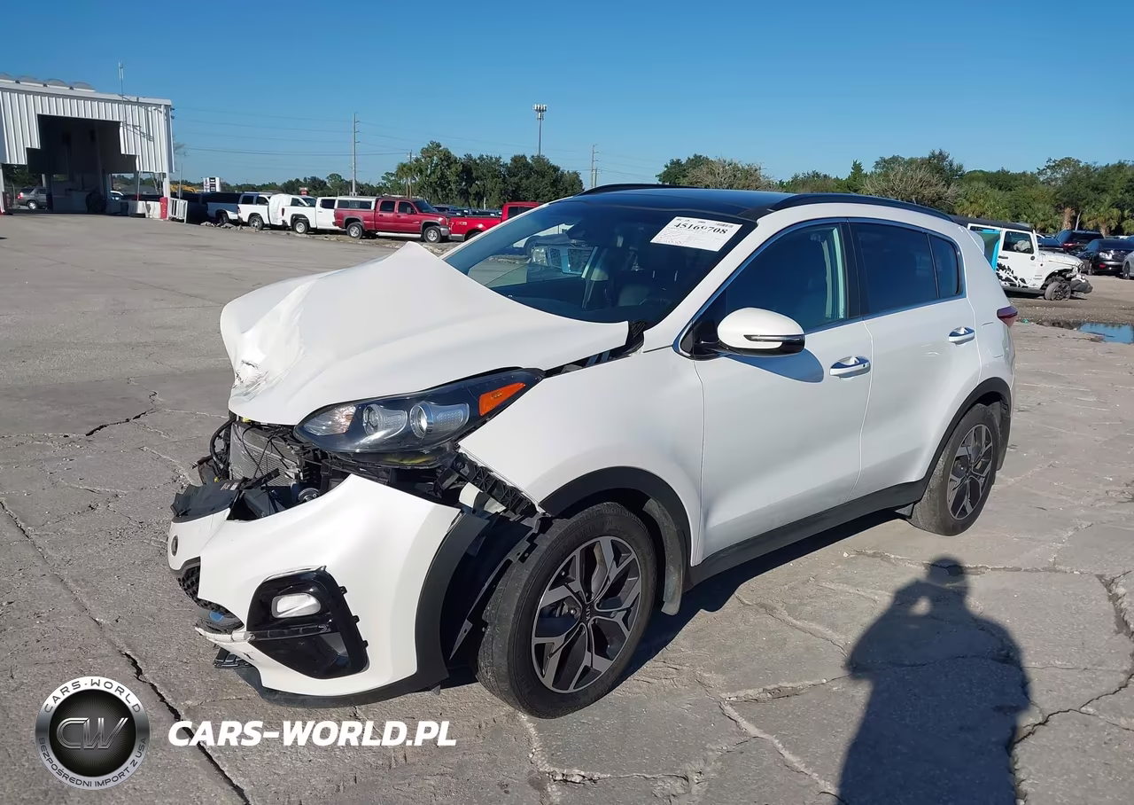 2022 Kia Sportage Ex VIN:KNDPN3AC0N7979205 - 2