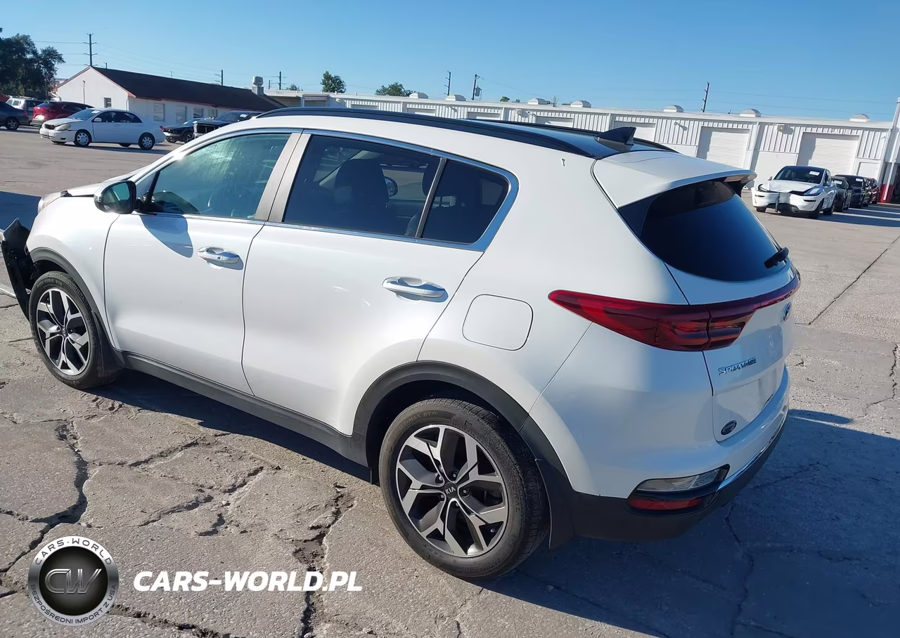 2022 Kia Sportage Ex VIN:KNDPN3AC0N7979205 - 3