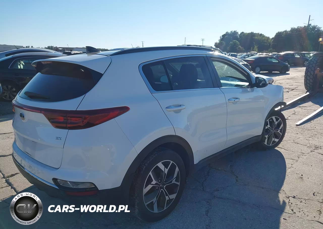 2022 Kia Sportage Ex VIN:KNDPN3AC0N7979205 - 4