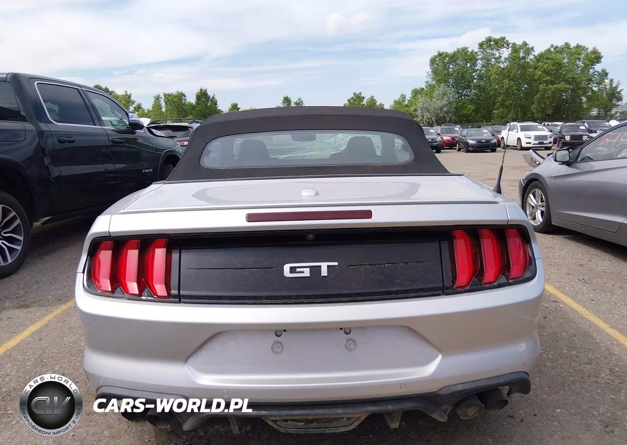 2019 Ford Mustang Gt VIN:1FATP8FF4K5104764 - 17