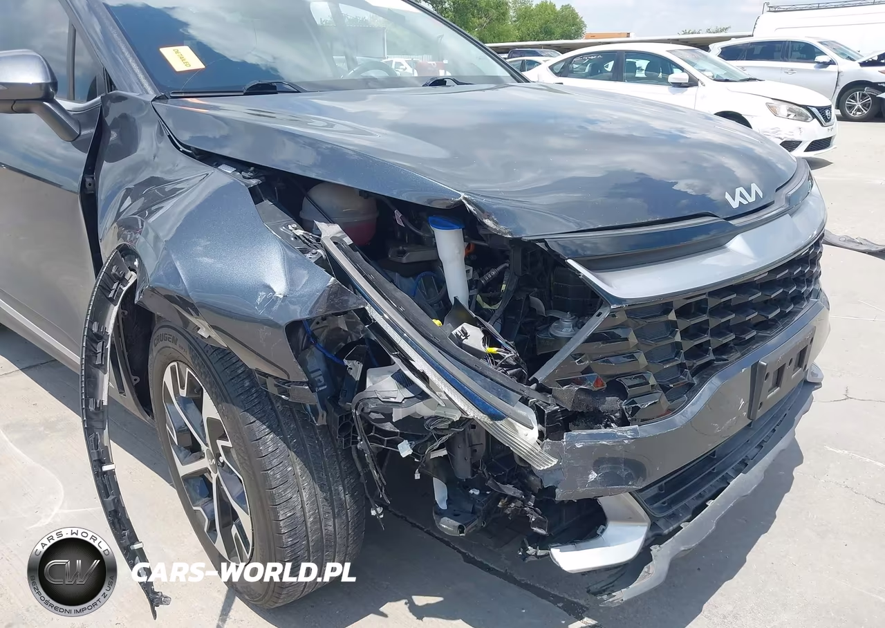 2024 Kia Sportage Ex VIN:5XYK33DF6RG163761 - 19