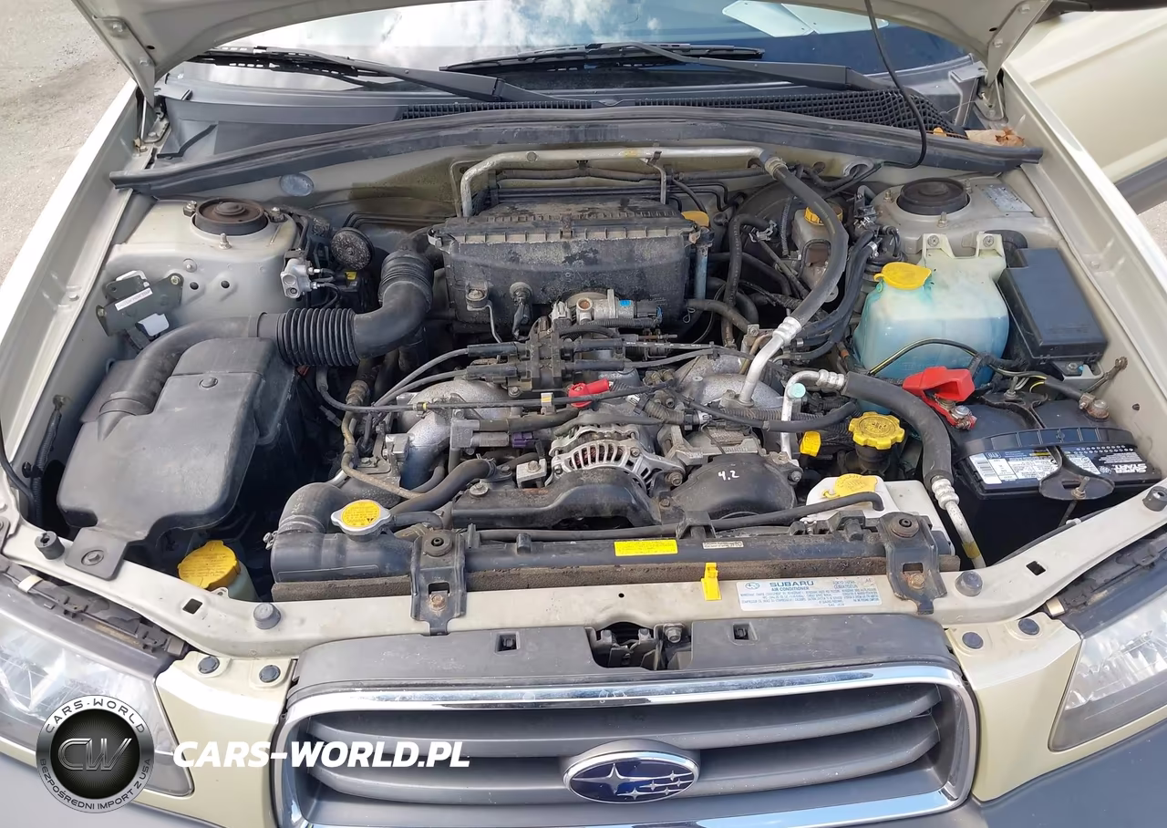 2003 Subaru Forester X VIN:JF1SG63633G719171 - 10