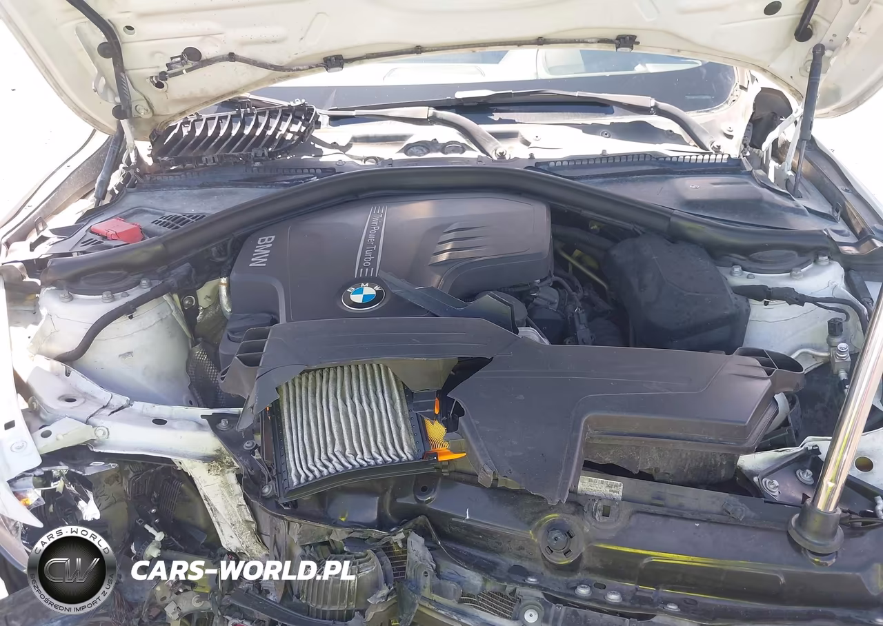 2016 BMW 428I Gran Coupe VIN:WBA4A9C52GG505529 - 10