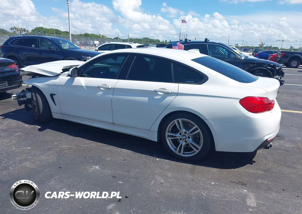 2016 BMW 428I Gran Coupe VIN:WBA4A9C52GG505529 - 3