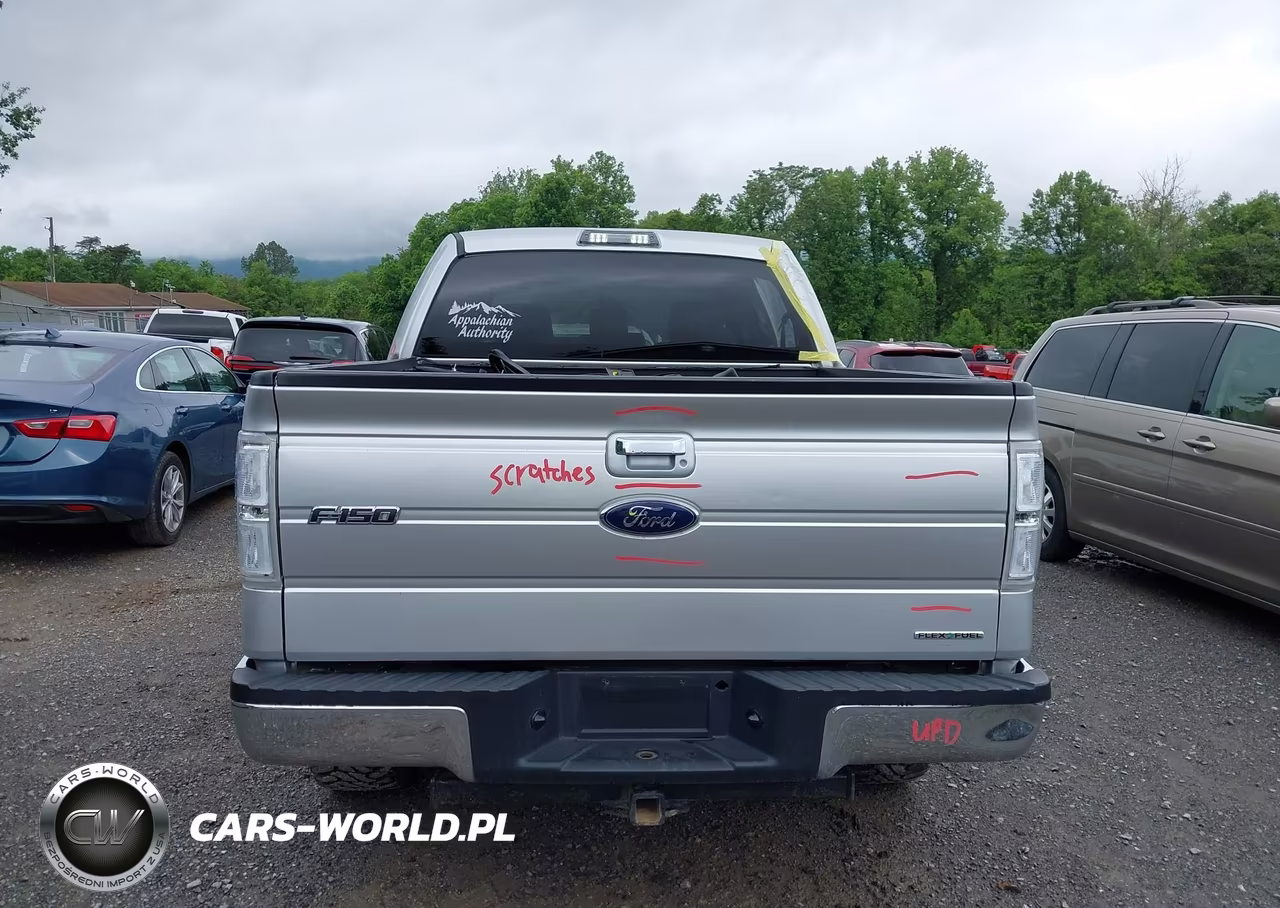 2013 Ford F-150 Xlt VIN:1FTFW1EF0DFB22971 - 17