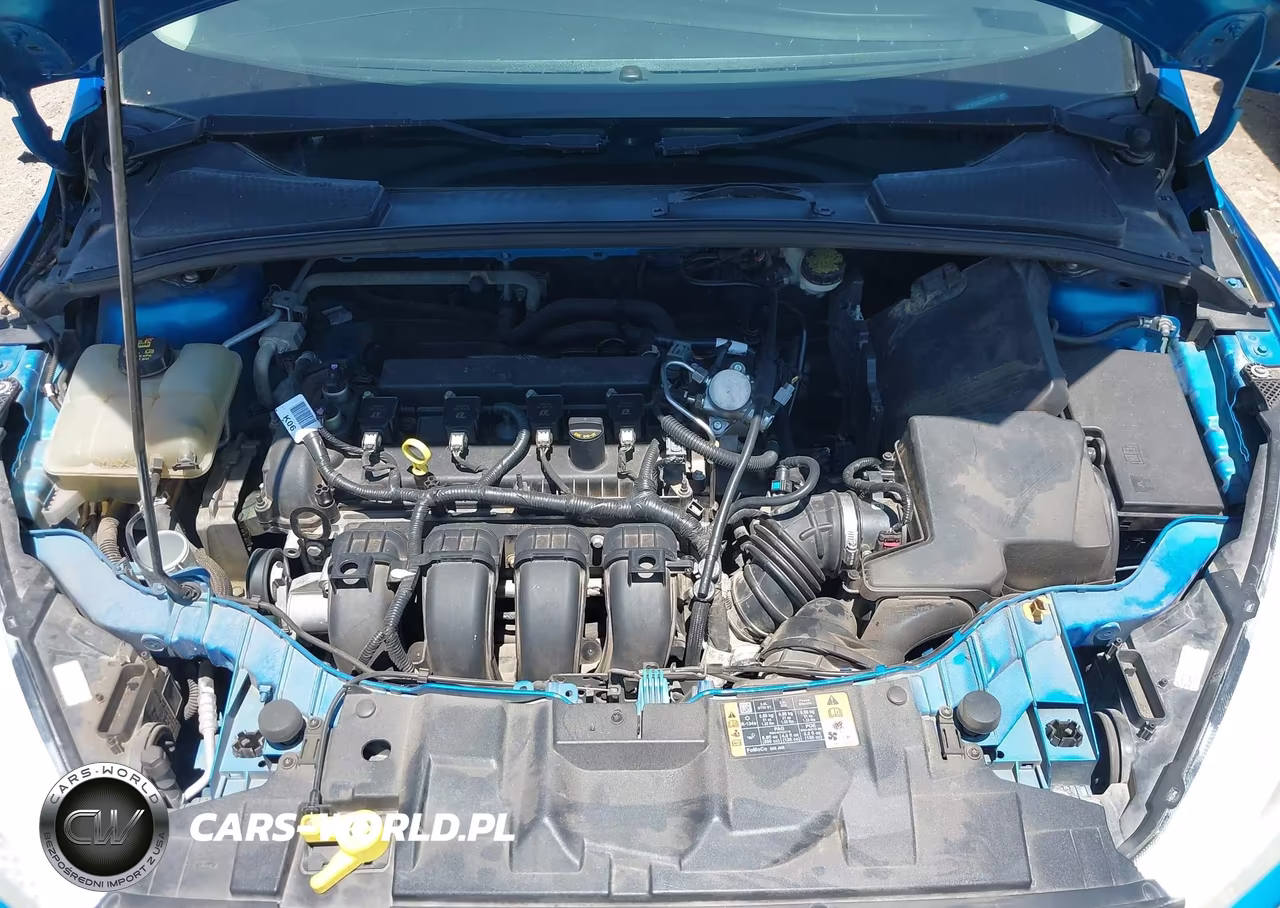 2016 Ford Focus Se VIN:1FADP3K26GL351670 - 10