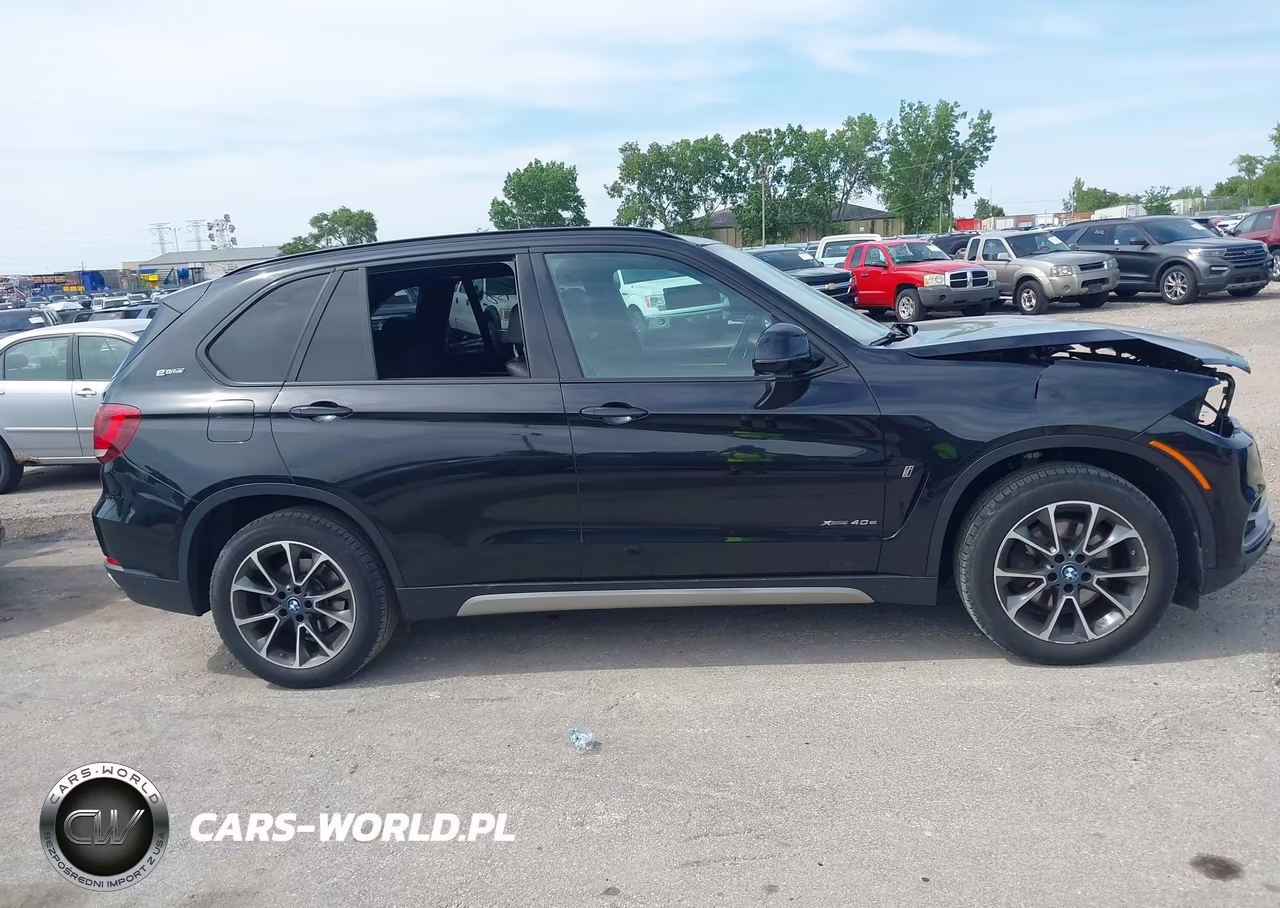 2018 BMW X5 Edrive xDrive40E Iperformance VIN:5UXKT0C53J0W02124 - 13