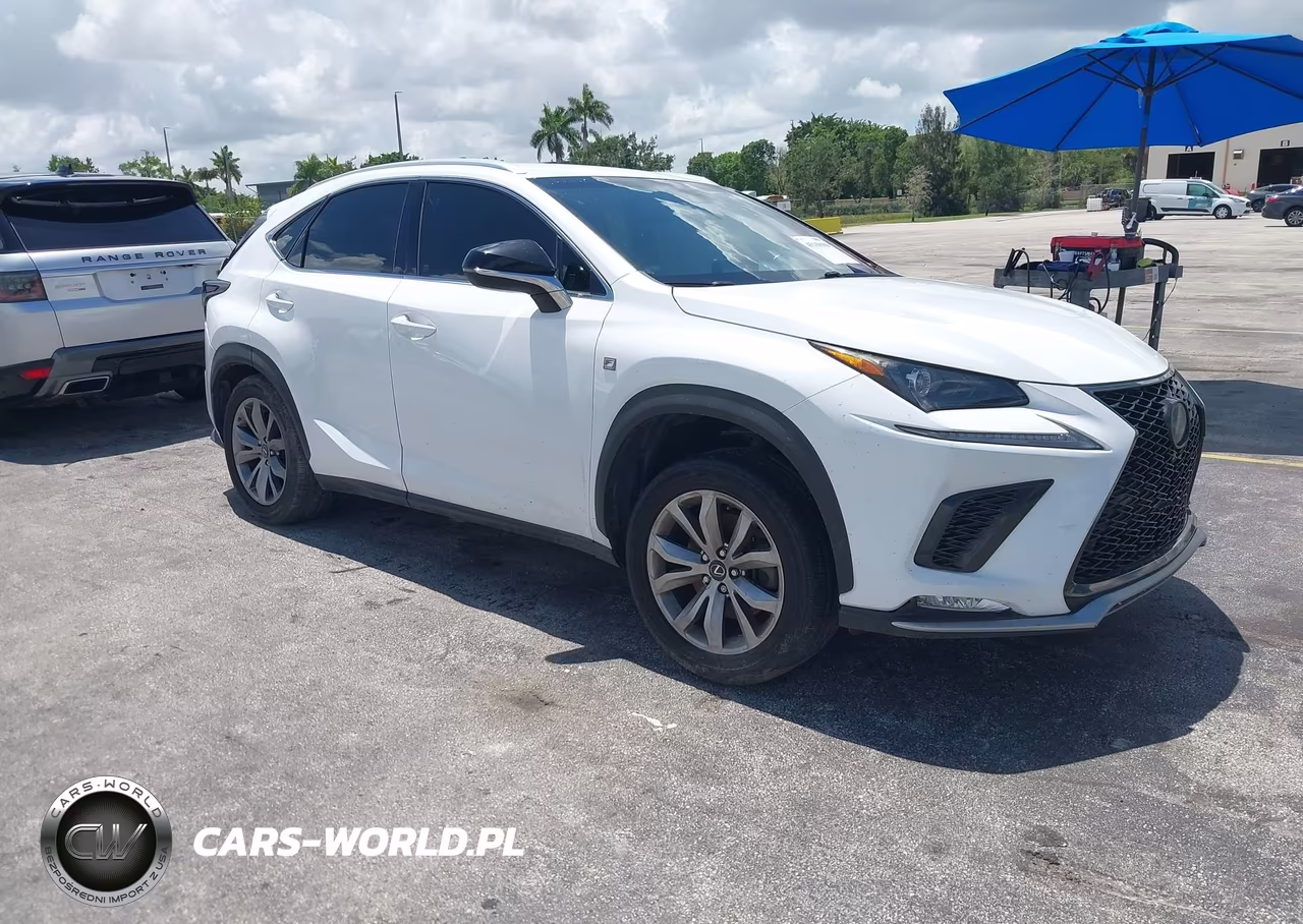 2019 Lexus Nx 300 F Sport