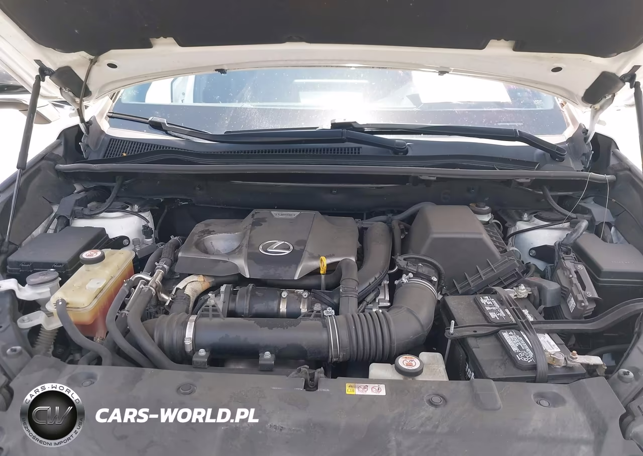 2019 Lexus Nx 300 F Sport VIN:JTJYARBZ0K2147861 - 10
