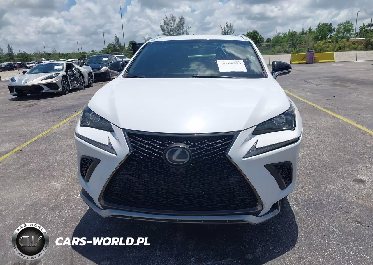 2019 Lexus Nx 300 F Sport VIN:JTJYARBZ0K2147861 - 13