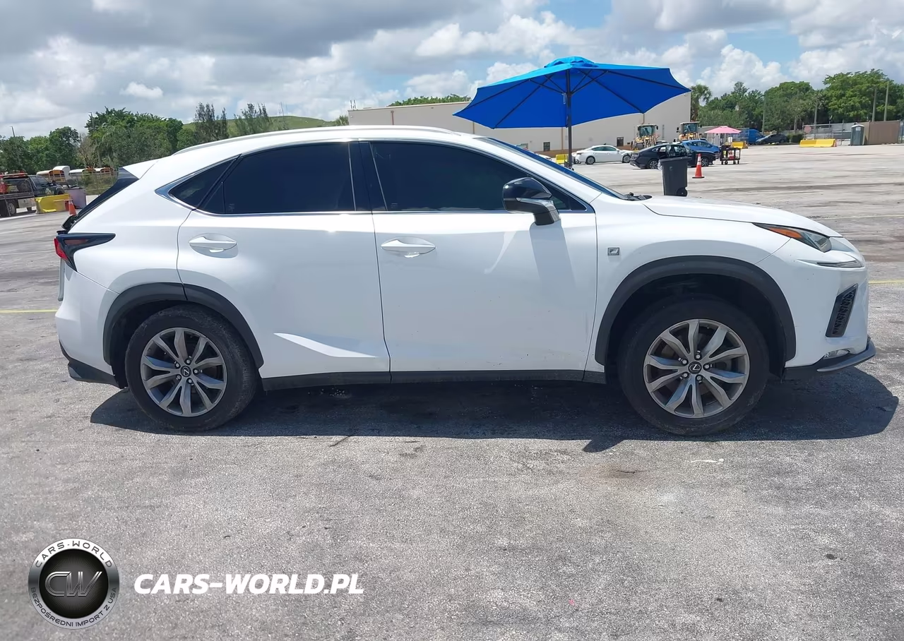 2019 Lexus Nx 300 F Sport VIN:JTJYARBZ0K2147861 - 14